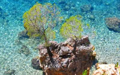 Wczasy Podgora Hotel Aurora *** autokarem